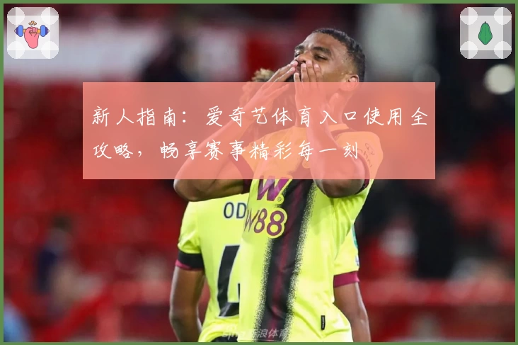 新人指南：爱奇艺体育入口使用全攻略，畅享赛事精彩每一刻